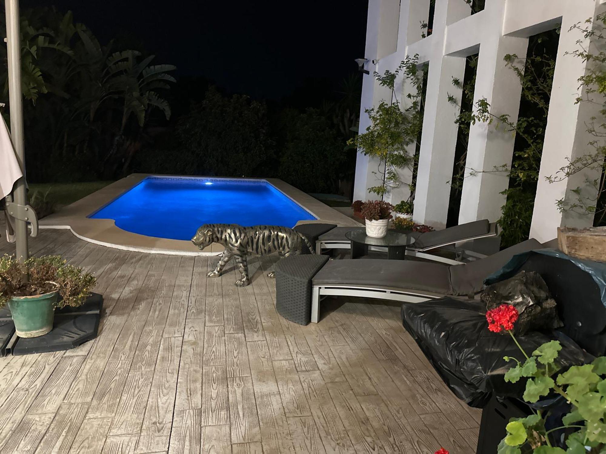 Joelle Marbella